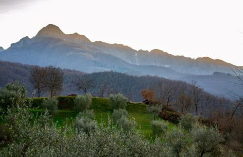 MULINO VECCHIO - Foto 33