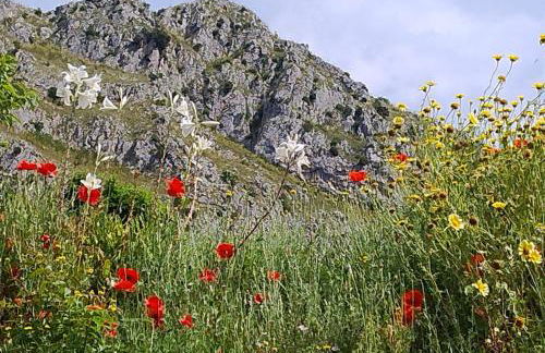 Borgo del Sole - Foto 31