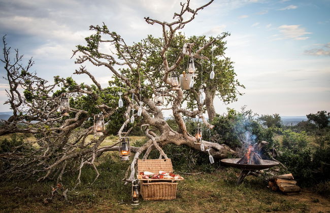 Uplands Homestead - Photo 35