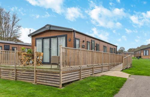 Alfie - Uk48109 - Foto 2