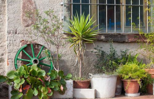 MASIA CAN SUNYER AGROTURISMO - Foto 14