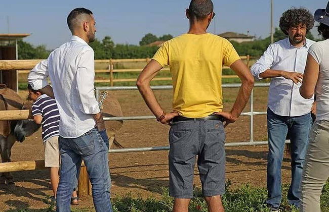 Visita di una fattoria biodinamica + Degustazione di vino - Foto 8