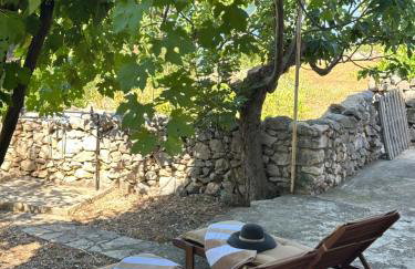 Apartmani Luka & Iva - Foto 19