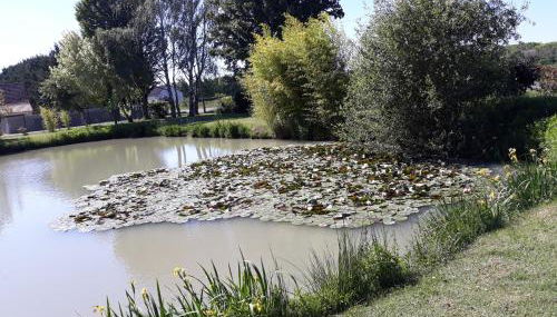 Les Roseaux Comme à la maison prés des châteaux de la Loire - Photo 2