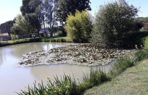 Les Roseaux Comme à la maison prés des châteaux de la Loire - Foto 2