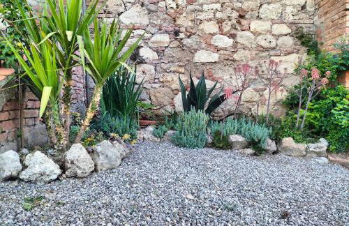 L'oca Nera - Foto 48