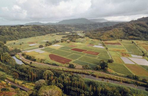 Banyan Harbor Resort - Foto 155