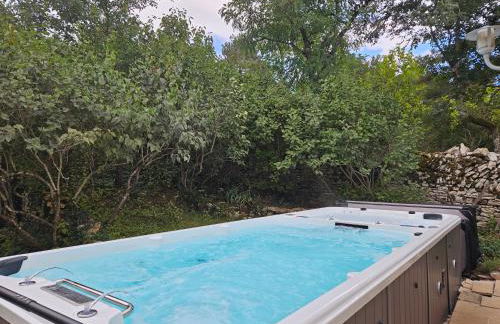 La Terre d'Or - Foto 59