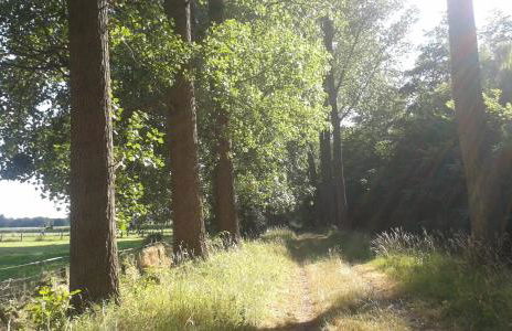 Ferienwohnung Kerstenhof - Foto 38