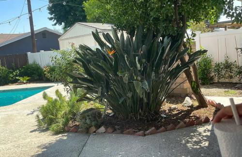 Granada Hills Private Unique Pool Luxury 4BR Family Retreat - Patio, Outdoor Dining, BBQ Grill, & Free Parking - Foto 24