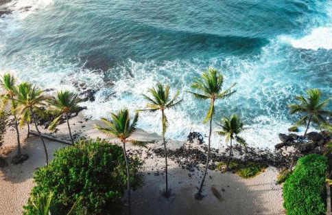 Hale Makani - Foto 36