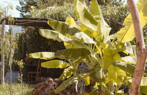 Harmony Corfu Apartments & Studios - Foto 54