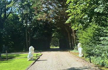 Domaine du Bal - Photo 30