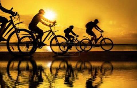 Les Gîtes de Fabie - Villa vue mer avec spa - Plougonvelin - Photo 66