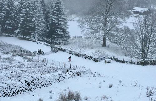 Climbers Cottage - Foto 32