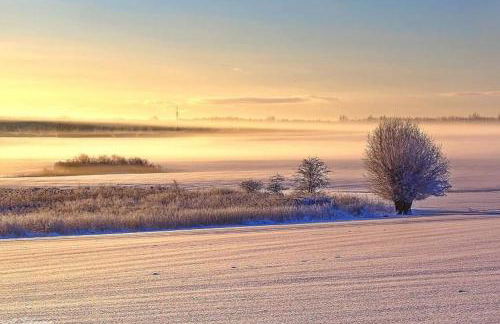 Design-Appartement im Zentrum - Foto 29