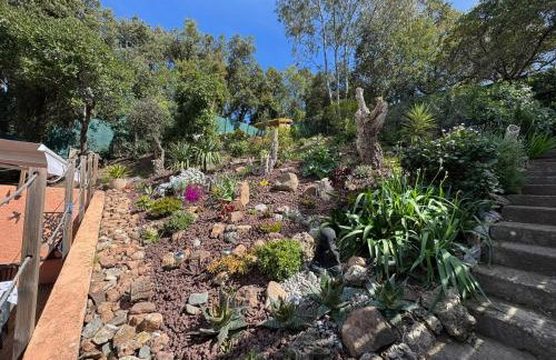 R1G-120 m plage-2 ch-jardin - Foto 18