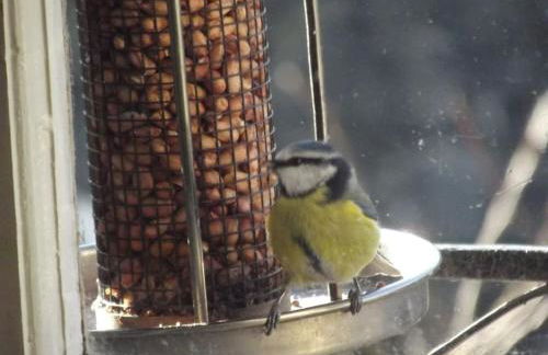 Cosy cottage flat - Foto 25