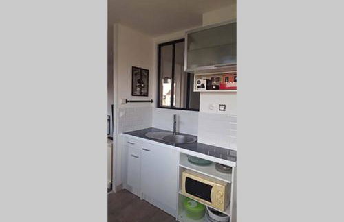 Duplex 1 station tramway aéroport Paris-Orly - Foto 9