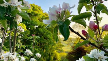 Bullclough loft - Photo 2