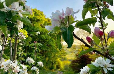 Bullclough loft - Photo 2