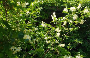 Dom na Warmii -Siedlisko Jabłonka - Foto 64