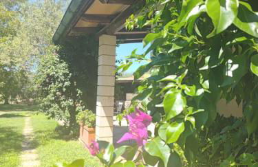 Agriturismo la Canonica - Foto 36