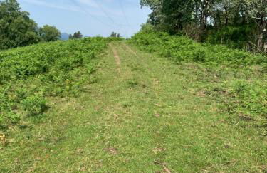 Posada El Pareón - Photo 31