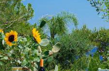 Villa Azzurra - casa vacanze - Foto 25