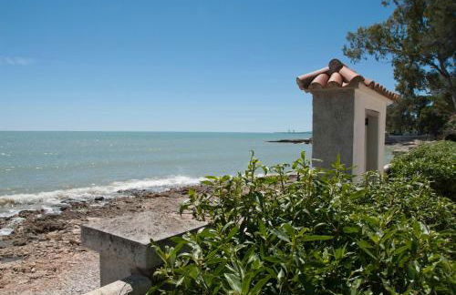 Sargantana Blava - Foto 1