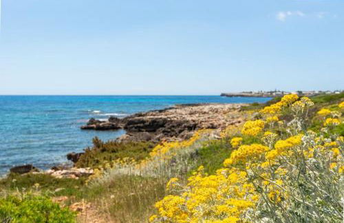 Villa Delfin - Foto 28