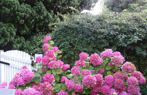 Apartment Geltinger Bucht by Interhome - Foto 14