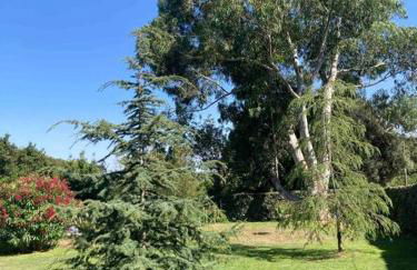 Location à Porto Vecchio - Foto 44