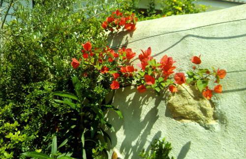 Matta e Sole - Foto 33