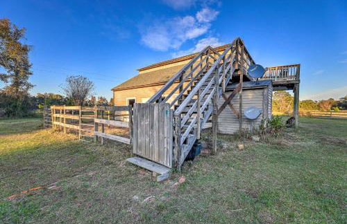 Havelock Country Cabin on Working Horse Farm! - Foto 19