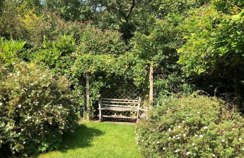 St Anthony’s, bright perkily decorated 3 bedroom house - Photo 7