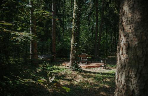 Forest Cabin - 50min od Warszawy - Foto 11