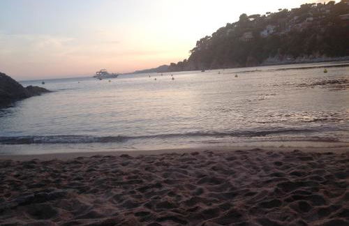 Cala Canyelles Holidays Apartments - Foto 48