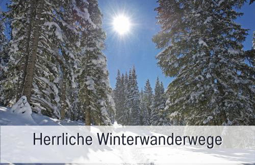 Fewo Herzgrün direkt an Wanderwegen mit traumhafter Aussicht Sauna E-Ladestation - Foto 43