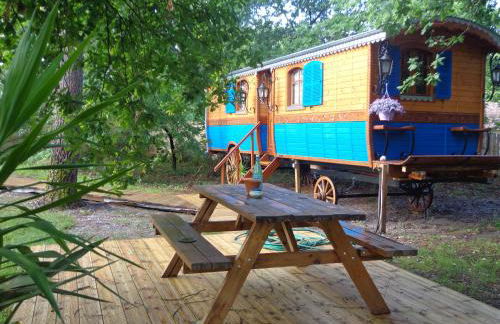 Les roulottes Vesta - Foto 28