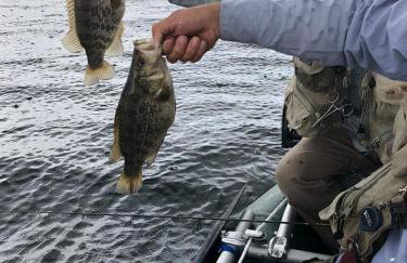 Mountainback 52 Loft Corner - Foto 16