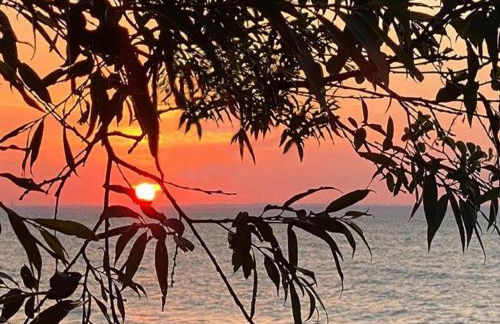 Ferienhaus in Elmenhorst an der Ostseekueste - Foto 40