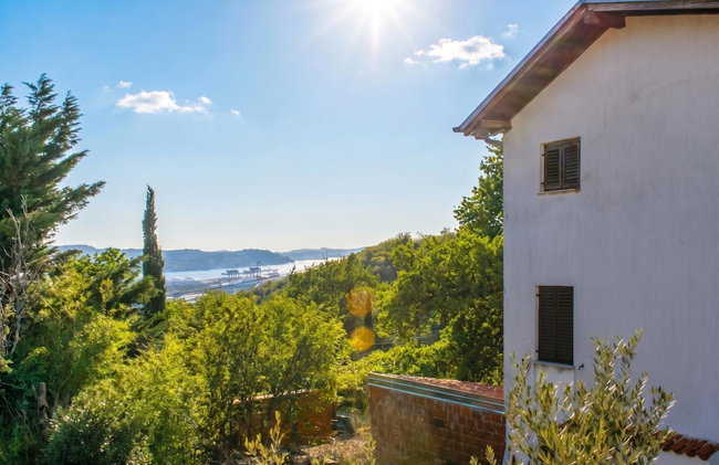 House In The Vineyards - Photo 12