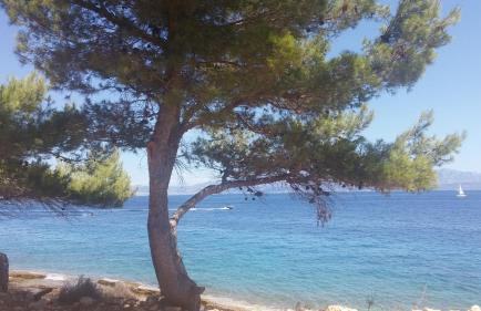 Apartment Bruna - Foto 47