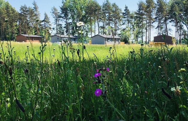 Hollicarrs - Wildflower Lodge - Foto 18