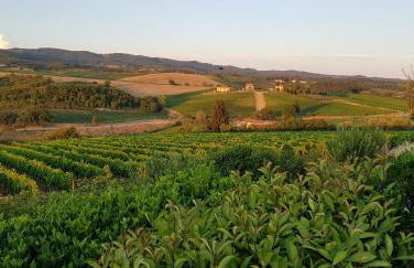 Luxury Serviced Cottage in a Historical Chianti Borgo - Foto 51