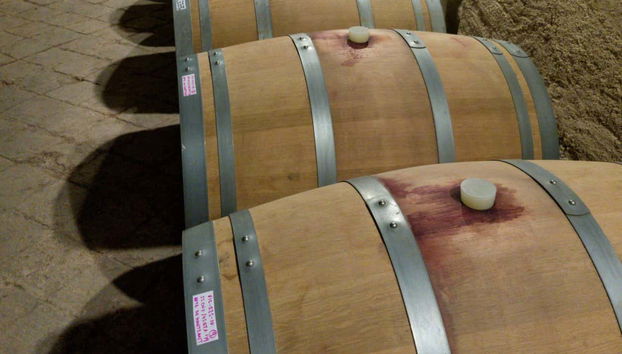 Priorat Winery Day Trip - Foto 3