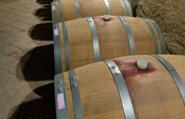 Escursione a una cantina del Priorat - Foto 3
