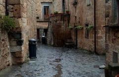 Il Vento e la Ginestra - Foto 23