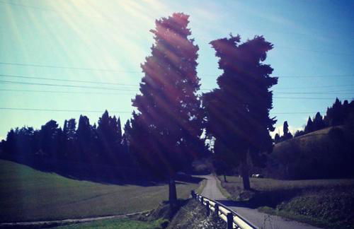 Agriturismo Campo al Sole - Foto 48